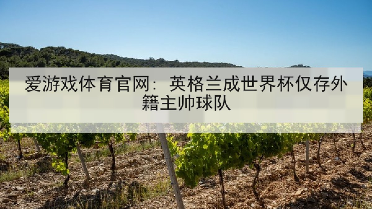 爱游戏体育官网: 英格兰成世界杯仅存外籍主帅球队 爱游戏体育官网: 英格兰成世界杯仅存外籍主帅球队