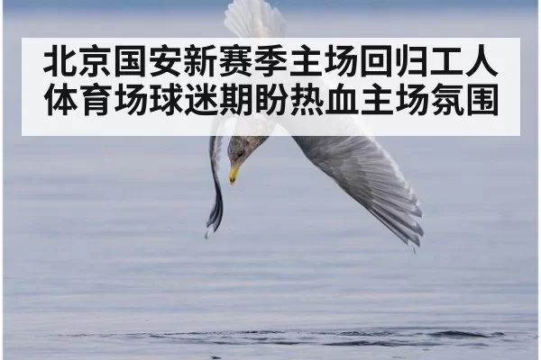 北京国安新赛季主场回归工人体育场球迷期盼热血主场氛围