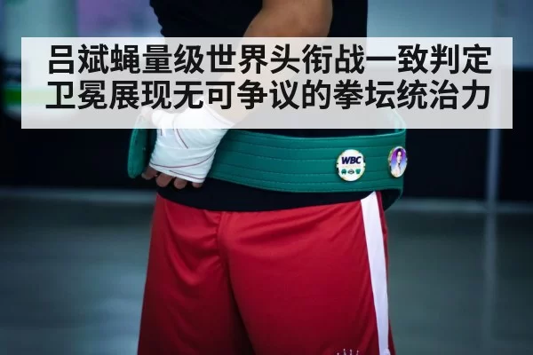 boxing championship belt