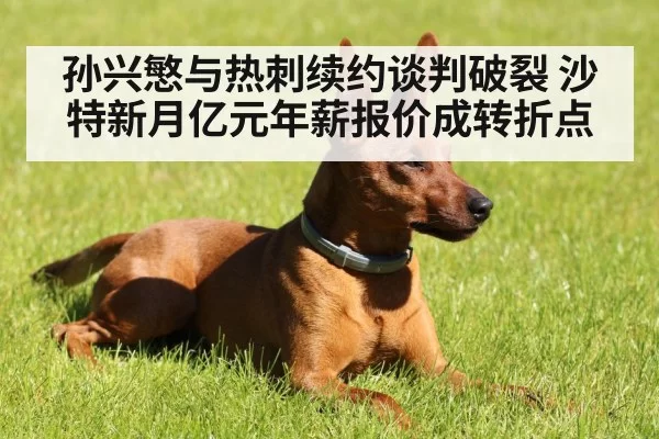 孙兴慜与热刺续约谈判破裂 沙特新月亿元年薪报价成转折点
