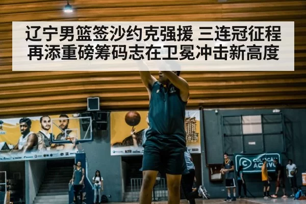辽宁男篮签沙约克强援 三连冠征程再添重磅筹码志在卫冕冲击新高度